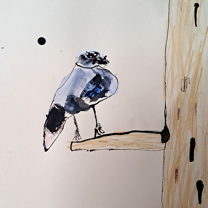 Dominik Hanke , 7 let, Česká příroda - sojka, ZŠ Komenského Zlín