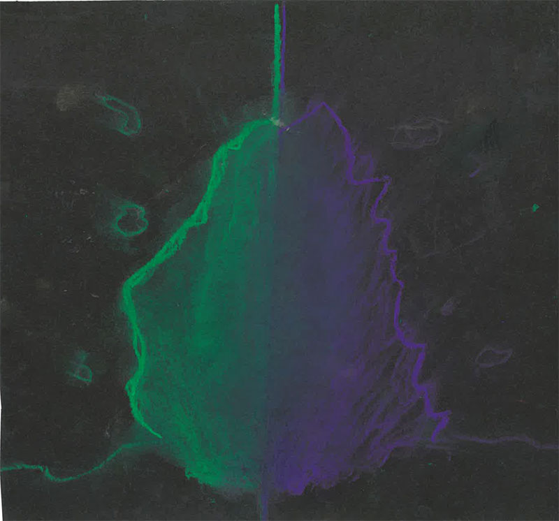 Štěpán Rybecký, 11 let,  ZŠ Sedmihlásek