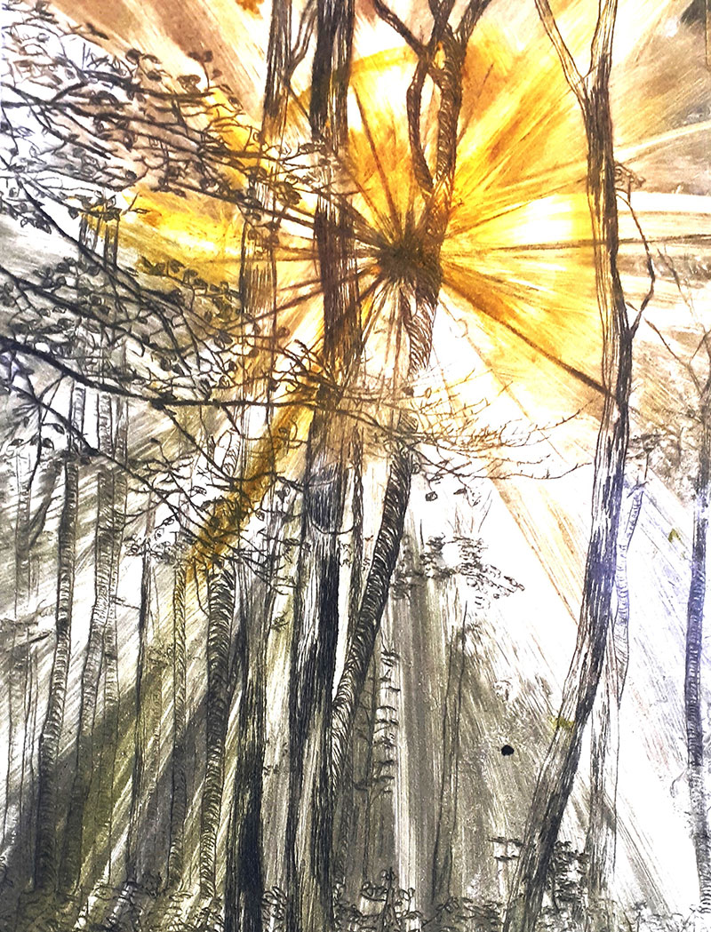 Sára Olejková, 15 let, Náš les, Gymázium Krnov