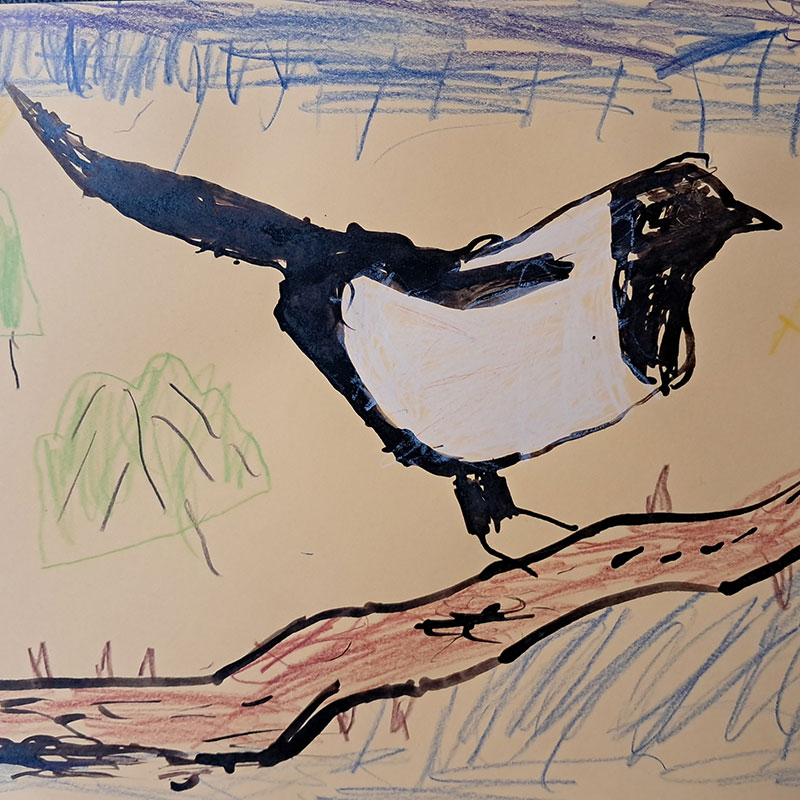 Yehor Bondarenko, 7 let, Česká příroda - straka, ZŠ Komenského Zlín