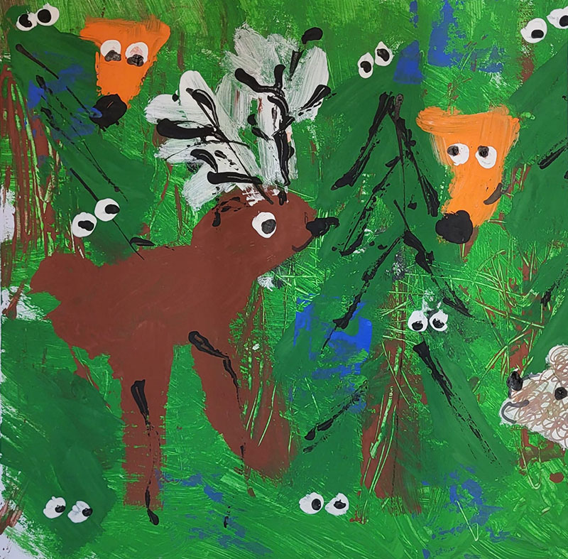 Jakub Kučera, 8 let, Naše lesy, ZŠ speciální a Praktické školy Jihlava